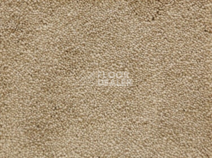 Ковролин Radici Lord Beige 126A фото 1 | FLOORDEALER